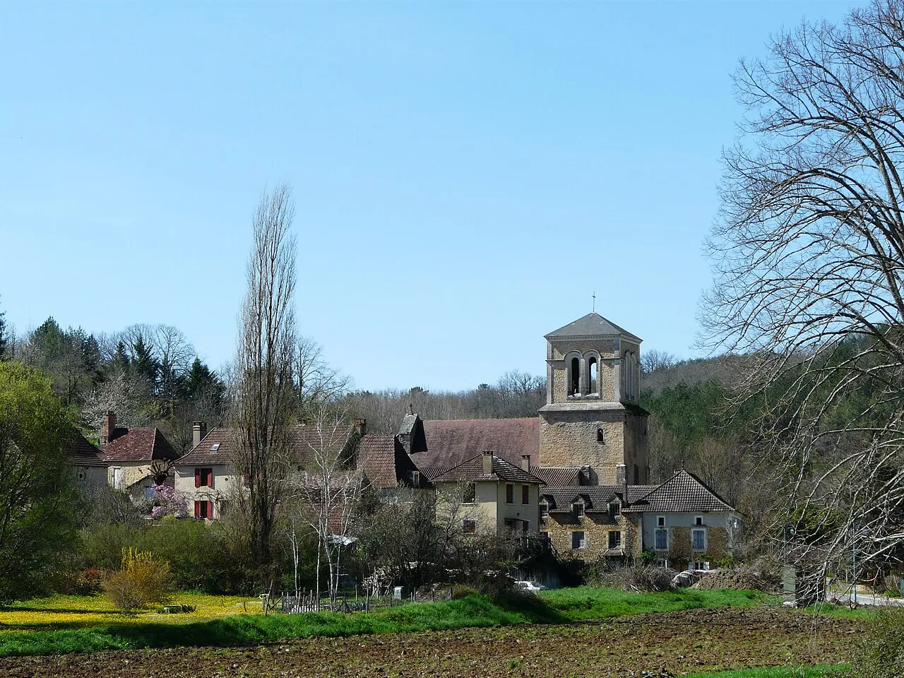 Le jour de la nuit à la grotte de bedeilhac : un événement insolite près de tarascon-sur-ariège