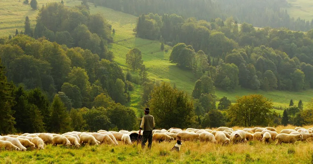 Mérens-les-vals : Guide complet 2026 - Altitude, Visites & Activités