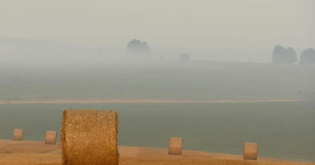 Randonnée à l’étang du Laurenti : escapade nature dans le Donezan